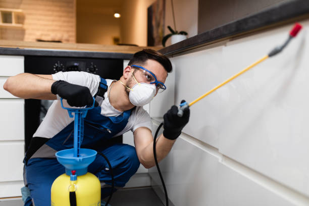 Flea Control Services in Humboldt, TN