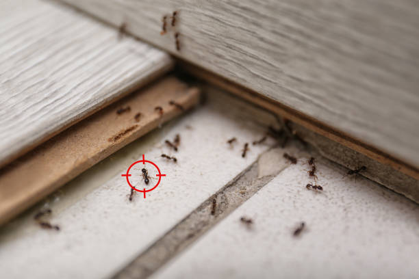Humboldt, TN Pest Control Company