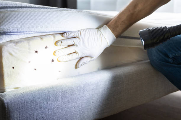 Best Affordable Pest Control Services  in Humboldt, TN