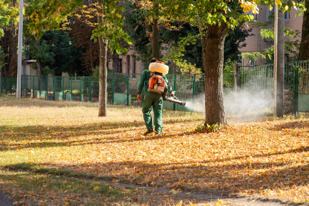 Best Affordable Pest Control Services  in Humboldt, TN