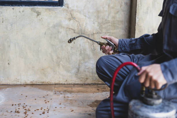 Best Best Pest Control Companies  in Humboldt, TN