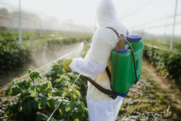 Best Pest Removal Services  in Humboldt, TN